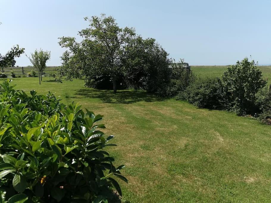 Dependance Au Calme Dans Notre Jardin Villa Saint-Aubin-Des-Preaux Dış mekan fotoğraf